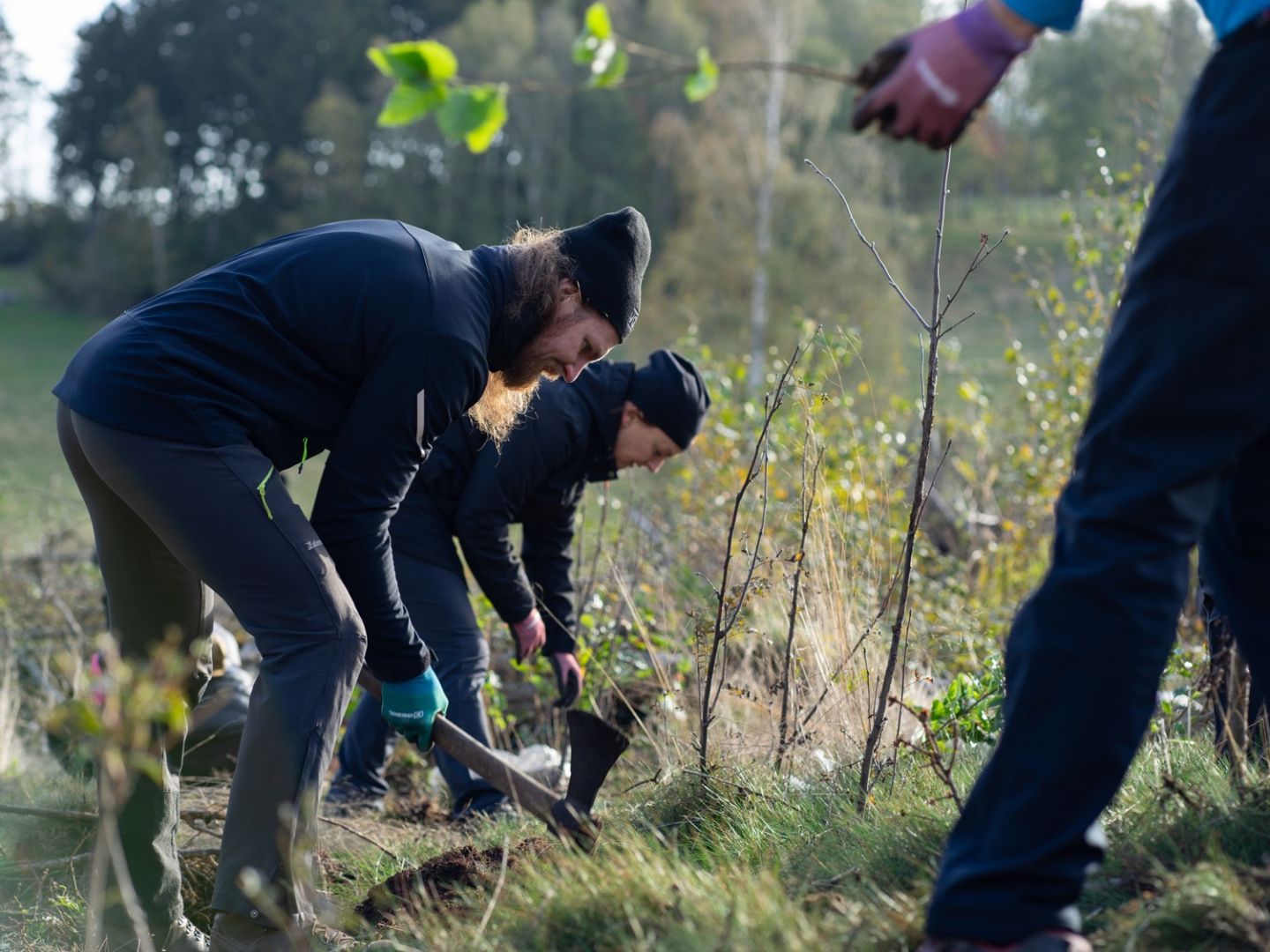 Zvýšení druhové rozmanitosti lesů na Liberecku v roce 2025